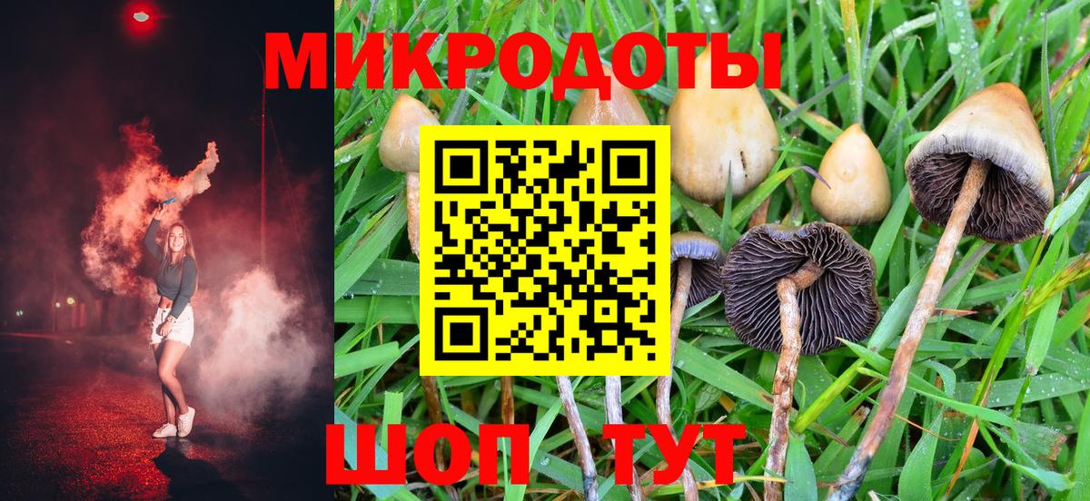 Энгельс  Псилоцибиновые грибы ЛСД  Вход с VPN 